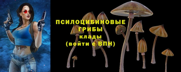 а пвп мука Сатка