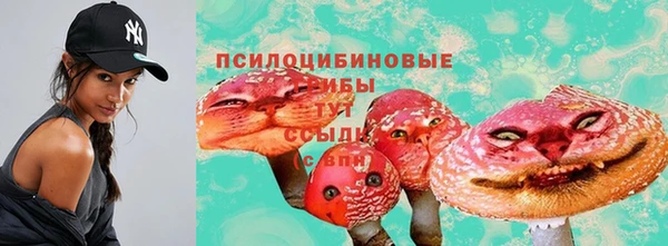 тгк Беломорск