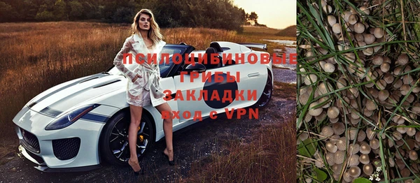 тгк Беломорск